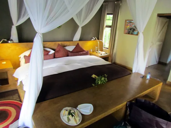 Travel and tour services